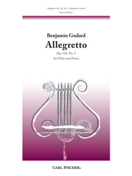 ALLEGRETTO OP 116 #1 FLUTE SOLO cover